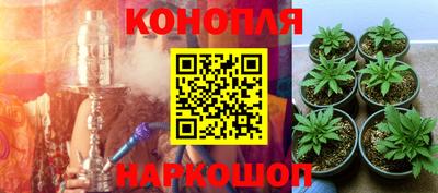 jwh Новодвинск