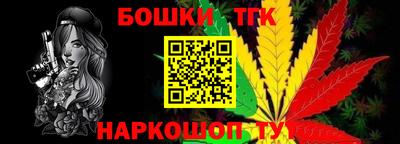 индика Новокубанск