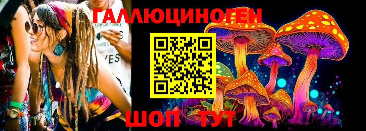Чернушка  Галлюциногенные грибы мухоморы  Вход с VPN 