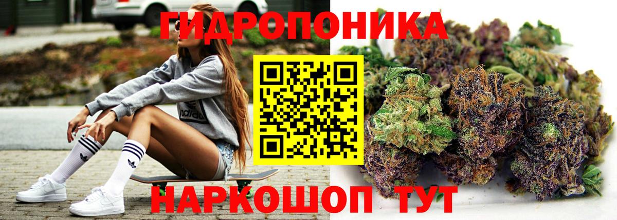 Шишки марихуана Bruce Banner Чернушка